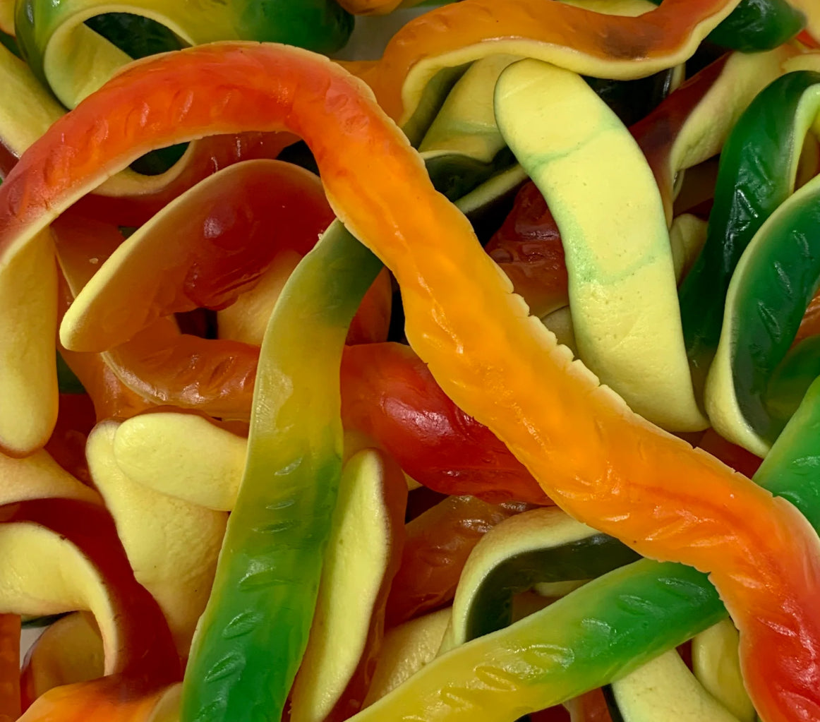 Giant yellow belly snakes