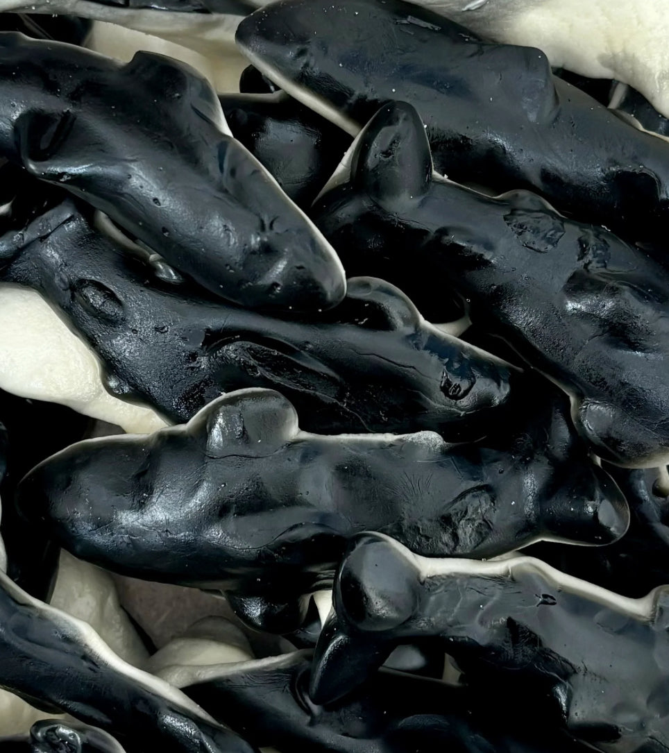 Giant orca